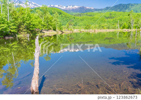 【長野県】乗鞍高原・一の瀬瀬園地 新緑のまいめの池 【長野県】乗鞍高原・一の瀬瀬園地 新緑のまいめの池 123862673