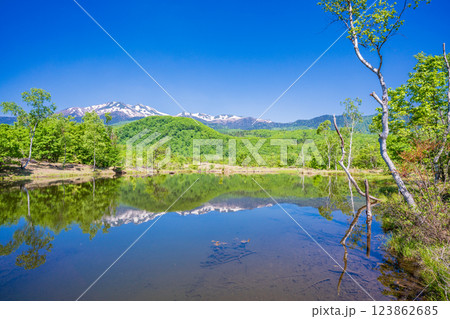 【長野県】乗鞍高原・一の瀬瀬園地　新緑のまいめの池 123862685