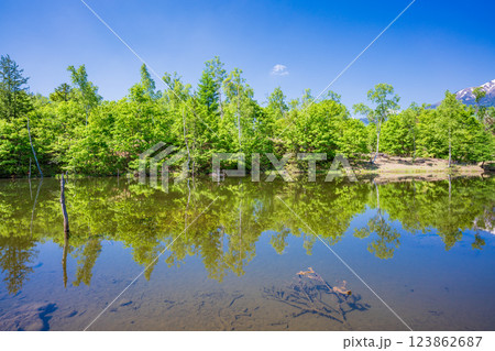 【長野県】乗鞍高原・一の瀬瀬園地　新緑のまいめの池 123862687