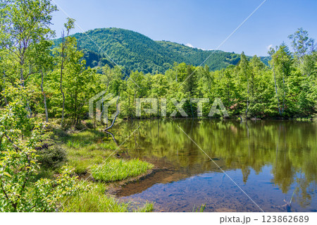 【長野県】乗鞍高原・一の瀬瀬園地　新緑のまいめの池 123862689