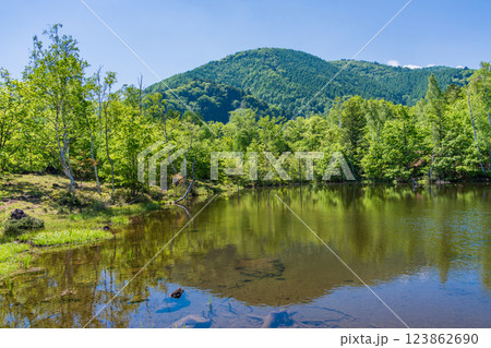 【長野県】乗鞍高原・一の瀬瀬園地　新緑のまいめの池 123862690
