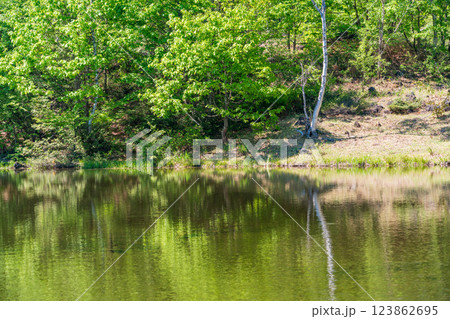 【長野県】乗鞍高原・一の瀬瀬園地　新緑のまいめの池 123862695