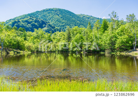 【長野県】乗鞍高原・一の瀬瀬園地　新緑のまいめの池 123862696