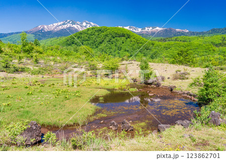 【長野県】乗鞍高原・一の瀬瀬園地　新緑のまいめの池 123862701