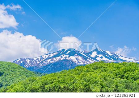 【長野県】乗鞍高原　新緑の一の瀬瀬園地 123862921