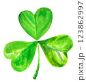 Green watercolor shamrock, Irish three leaf clover, an isolated design element 123862997