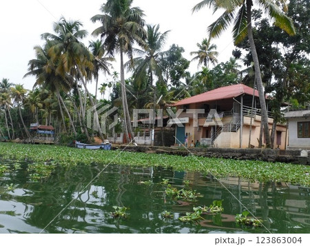 南インドの水辺の生活 123863004