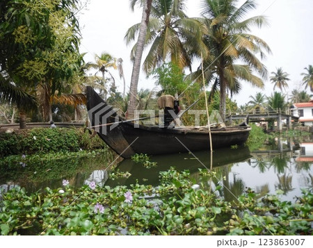 水草と船 水草と船 123863007