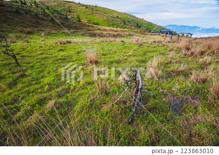 大自然に抱かれて【鉢伏山登山道の風景】 123863010