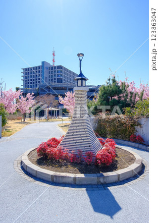桜が咲く猫実街区公園と浦安市役所 桜が咲く猫実街区公園と浦安市役所 123863047