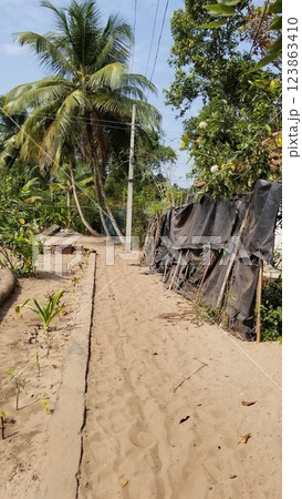 南インドの道 123863410
