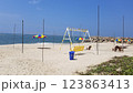 南インドの海 123863413