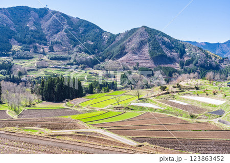 春日和に映える田園風景「世界農業遺産　高千穂郷・椎葉山地域」宮崎県高千穂町 123863452