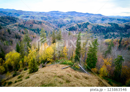 Dynamic aerial view of rocky outcrop nestled among mix of autumnal and evergreen trees. Vibrant fall colors contrast with green valleys and rolling hills in background, creating picturesque landscape. 123863546