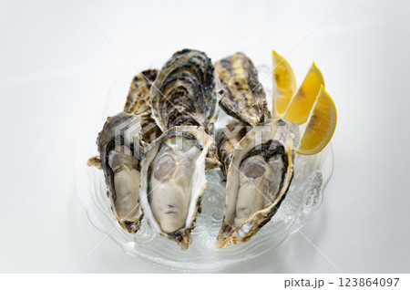 冬の味覚生真牡蠣 123864097