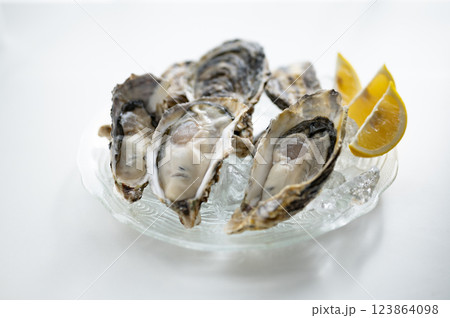 冬の味覚生真牡蠣 冬の味覚生真牡蠣 123864098