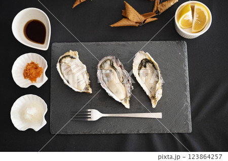冬の味覚岩盤プレートの生真牡蠣 123864257
