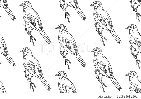 Line art seamless pattern with garden birds vector illustration. Hand drawn outline repeating carduelis birds pattern on white background. Graphic design for Cover Coloring Page Textile Fashion Print Line art seamless pattern with garden birds vector illustration. Hand drawn outline repeating carduelis birds pattern on white background. Graphic design for Cover Coloring Page Textile Fashion Print 123864266