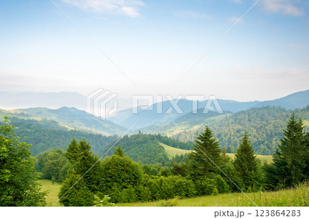 mountain landscape in the morning. alpine weather. fir forest on the hill. beautiful view of nature in summer. fog in the distant valley explore ukraine 123864283