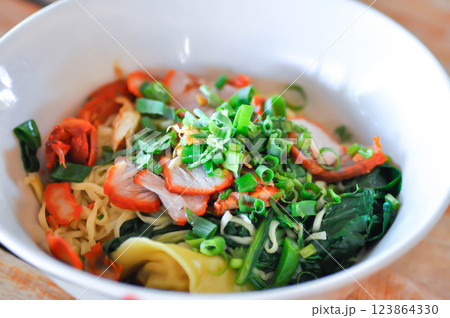 noodles or pork noodles or noodles without soup noodles or pork noodles or noodles without soup 123864330