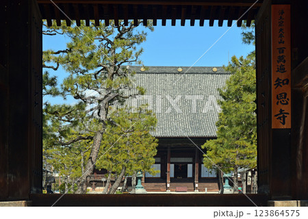 京都 百万遍知恩寺 京都 百万遍知恩寺 123864575