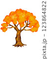 大木(秋) 123864822