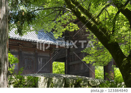 初夏の京都　南禅寺三門　新緑が美しい参道 123864840