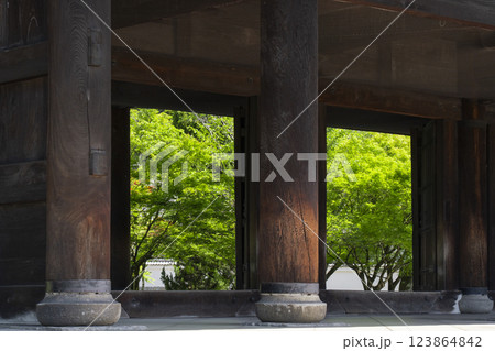 初夏の京都　南禅寺三門から見える新緑 123864842