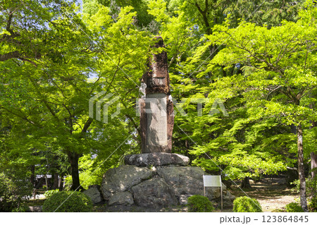 今尾景年翁画龍碑（京都　南禅寺） 123864845