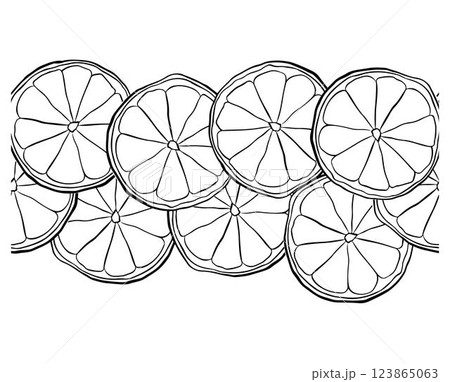 Lemon slices Vector design with graphic line ink hand drawn horizontal seamless border. Black and white illustration Design for menu, package, cosmetic, textile, package. Lemon slices Vector design with graphic line ink hand drawn horizontal seamless border. Black and white illustration Design for menu, package, cosmetic, textile, package. 123865063