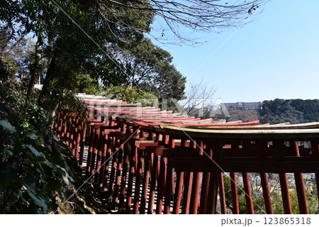 祐徳稲荷神社　奥の院へと続く赤鳥居 123865318