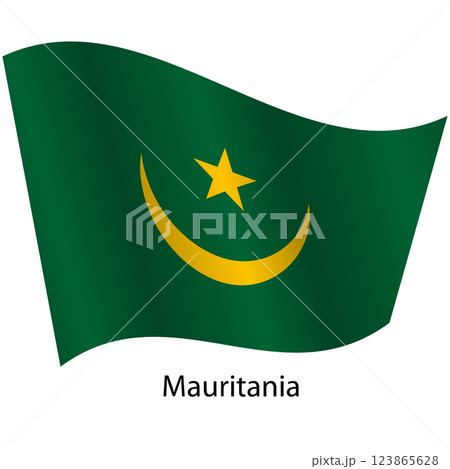 Flag of the country Mauritania on a white background 123865628