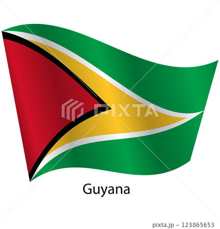 Flag of the country Guyana on a white background Flag of the country Guyana on a white background 123865653