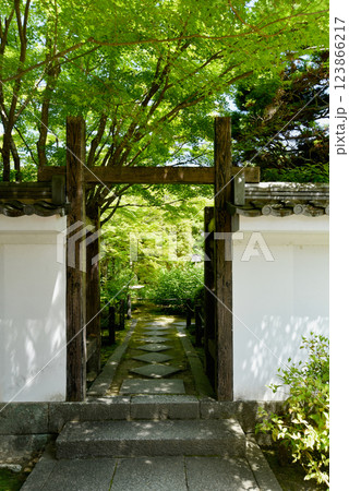 新緑に包まれた山門　南禅寺　天授庵 123866217