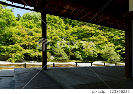 新緑に包まれた　南禅寺　天授庵 123866222