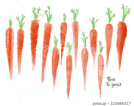 Various carrots in watercolor technique. Ready for cards, posters, prints and other usage 123866317