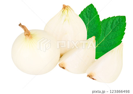 onion isolated on white background Peel 123866498
