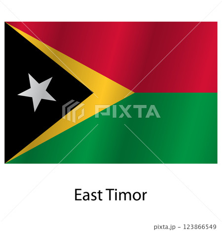 Flag of the country East Timor on a white background 123866549