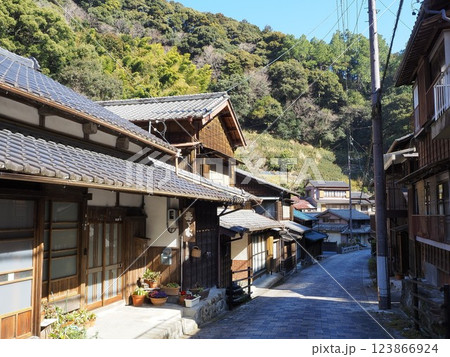静岡県 宇津ノ谷の集落 3月 静岡県 宇津ノ谷の集落 3月 123866924