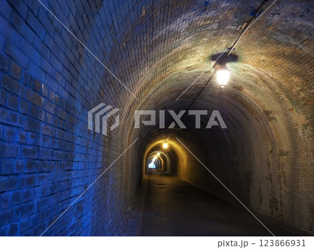 静岡県 宇津ノ谷隧道(明治のトンネル) 3月 静岡県 宇津ノ谷隧道(明治のトンネル) 3月 123866931