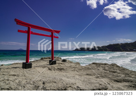 美しい海岸鳥居のある風景 123867323
