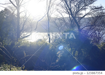 恩賜箱根公園 恩賜箱根公園 123867354