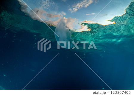 夕暮れの海のミズクラゲ 小笠原 夕暮れの海のミズクラゲ 小笠原 123867406