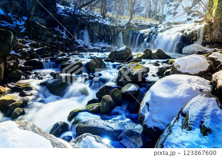 雪の蓼科大滝の光芒 雪の蓼科大滝の光芒 123867600