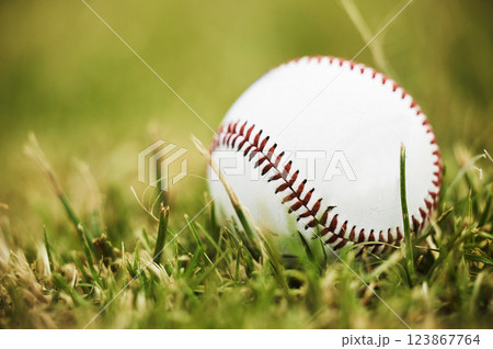Baseball, sports and outdoor ball in nature on grass for a sport, exercise and fitness training. Pre game, workout match and active athlete equipment for a fun exercising activity on green plants 123867764