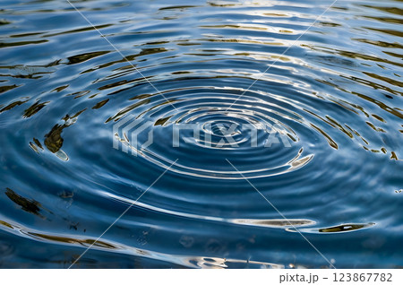 surface of the water 123867782