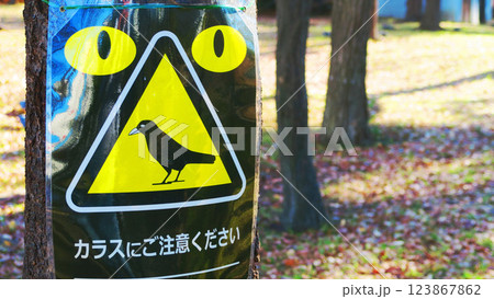 公園の「カラスにご注意ください」という警告カンバンの風景 公園の「カラスにご注意ください」という警告カンバンの風景 123867862