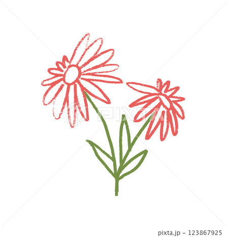 Marguerite flower crayon drawn. Spring plant doodle isolated on white background. Summer floral kids element. Chalk or pastel style childish scrawl shape. Vector naive illustration by pencil 123867925