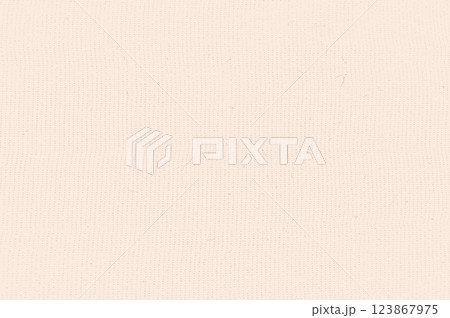 Textured craft fabric. Mulberry washi. Natural peach beige fiber background. Recycled rice paper print. Vector nude colors surface. Vintage cream backdrop. Textured craft fabric. Mulberry washi. Natural peach beige fiber background. Recycled rice paper print. Vector nude colors surface. Vintage cream backdrop. 123867975