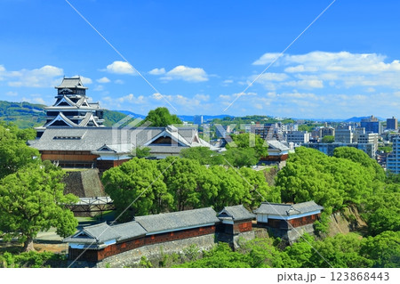 【熊本県】晴天の熊本城(天守閣と本丸御殿と重要文化財櫓群) 【熊本県】晴天の熊本城(天守閣と本丸御殿と重要文化財櫓群) 123868443